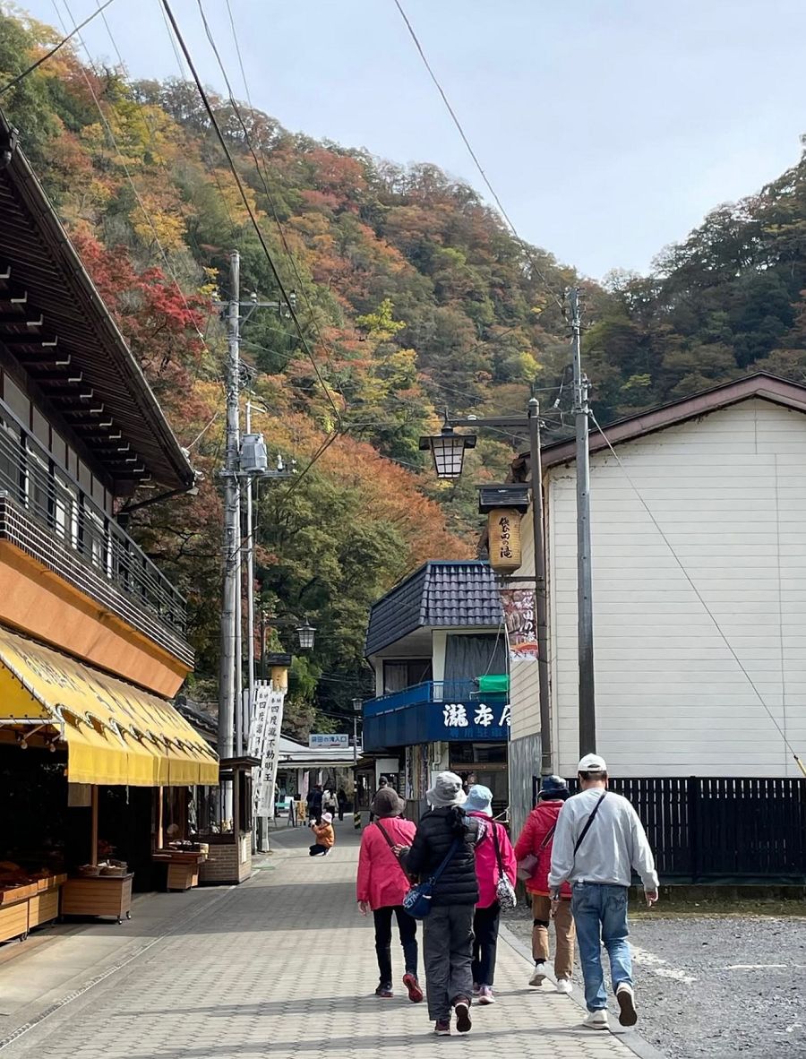 日本追楓趣（8）袋田瀑布