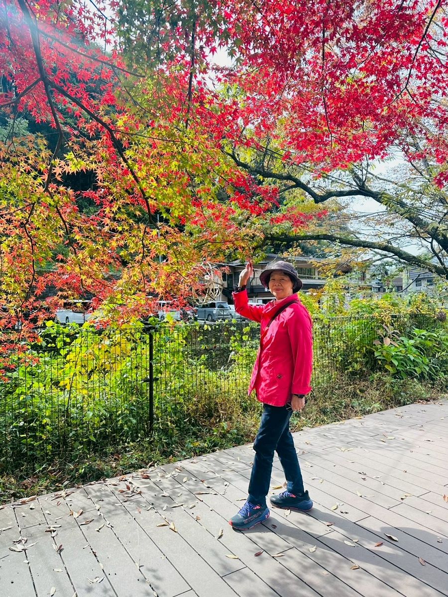 日本追楓趣（8）袋田瀑布