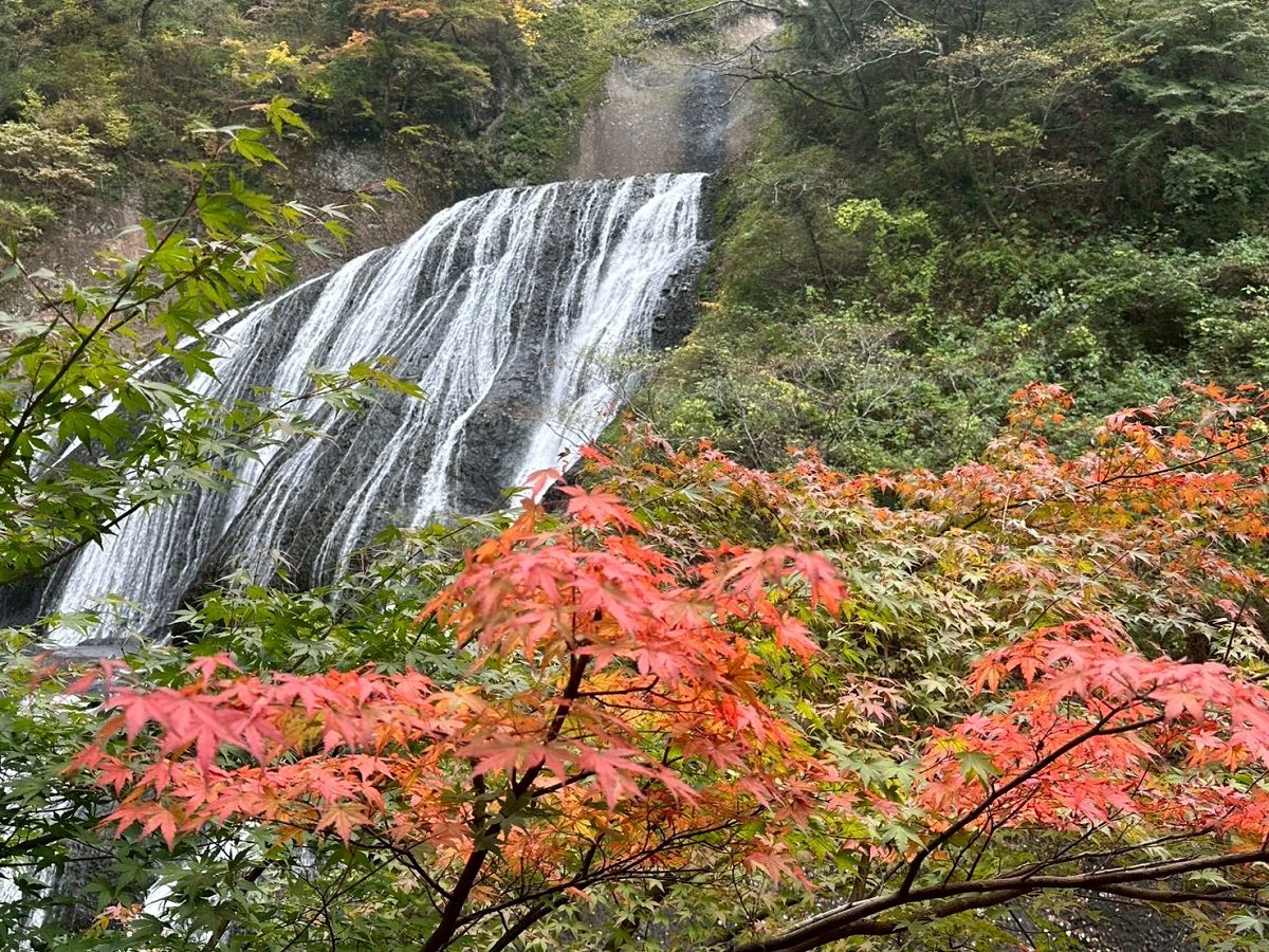 日本追楓趣（8）袋田瀑布