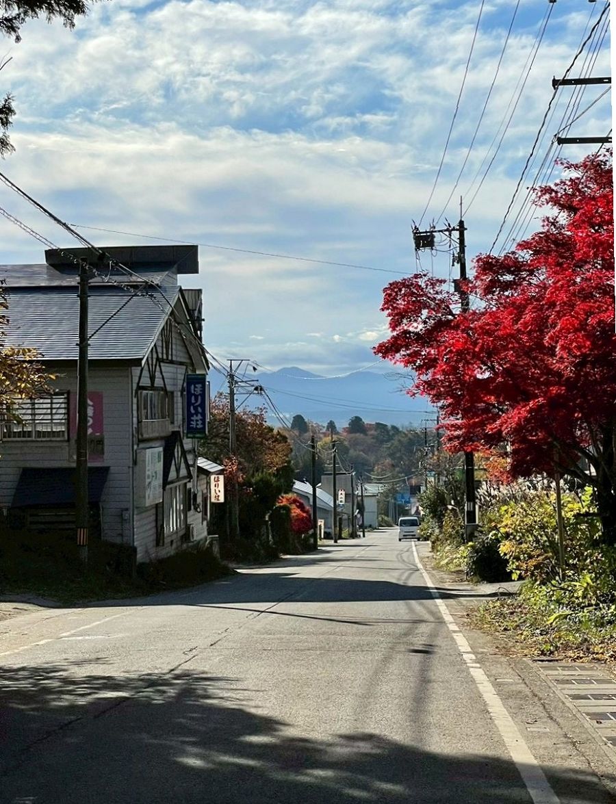 日本追楓趣（13）土津神社