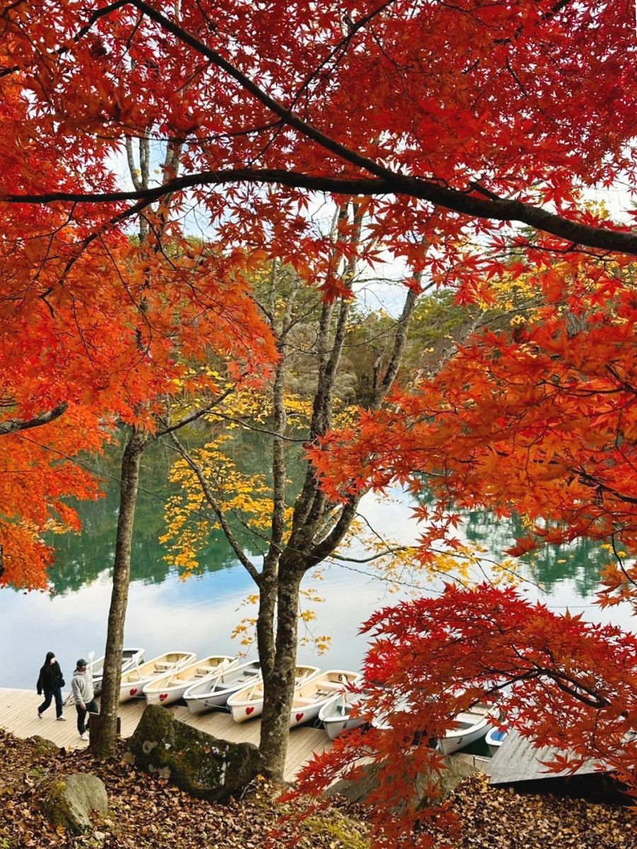 日本追楓趣（11）五色沼