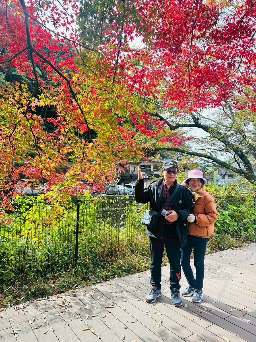 日本追楓趣（8）袋田瀑布