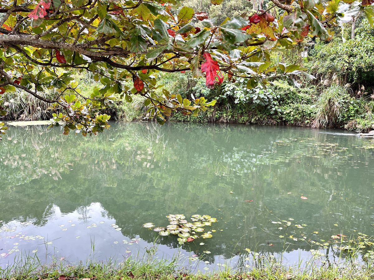 「開心家族」大溪漫遊趣