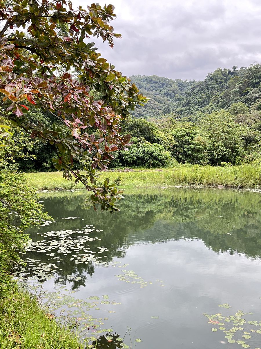 「開心家族」大溪漫遊趣 - 第13張圖 「開心家族」大溪漫遊趣