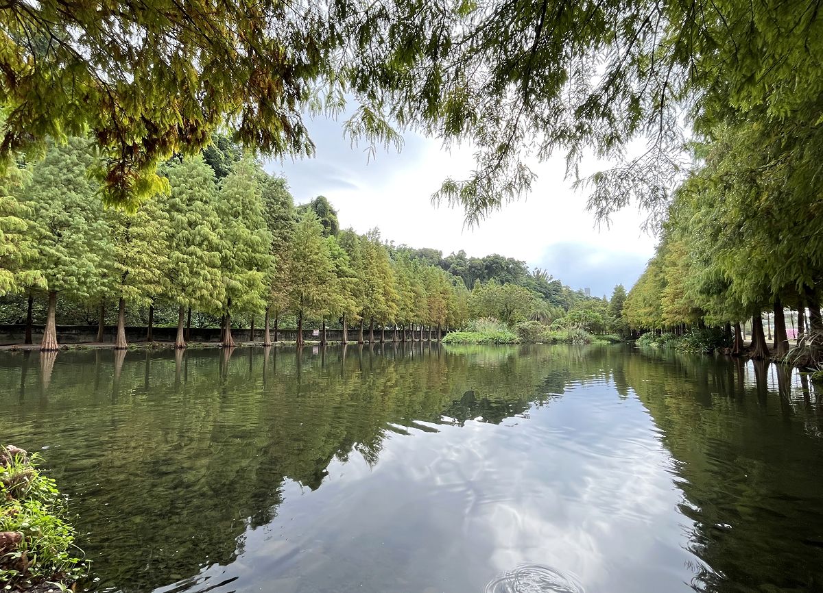「開心家族」大溪漫遊趣