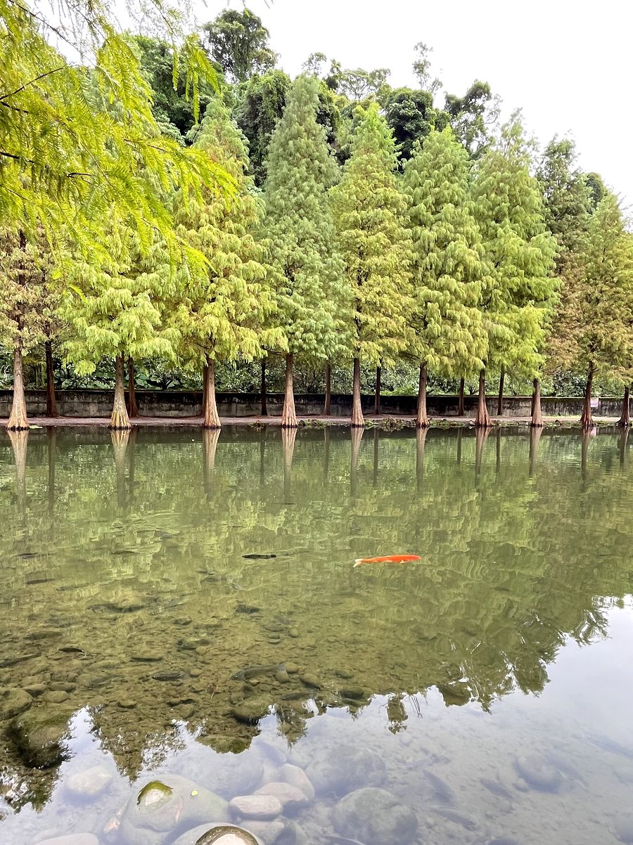 「開心家族」大溪漫遊趣 - 第22張圖 「開心家族」大溪漫遊趣