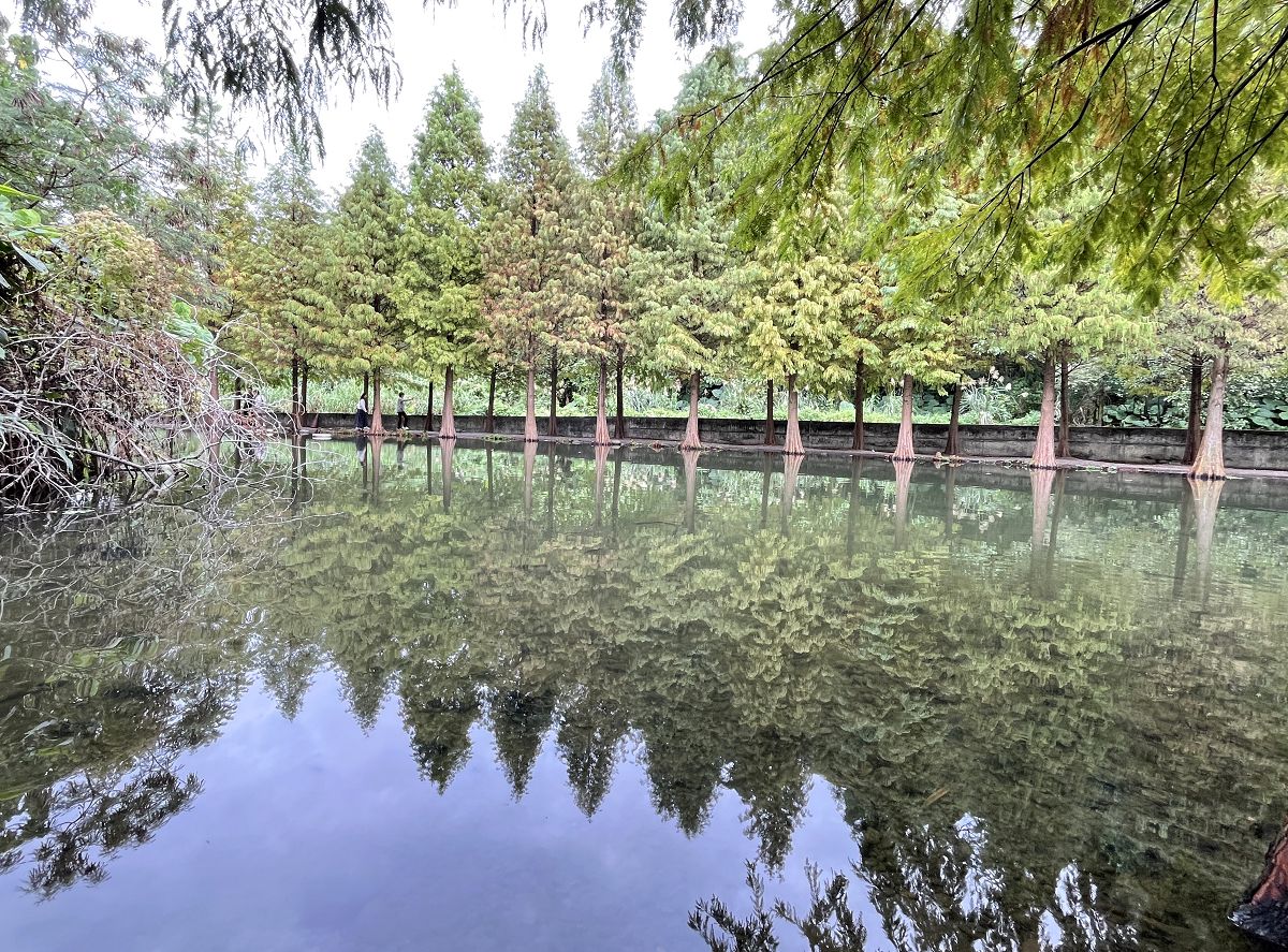 「開心家族」大溪漫遊趣