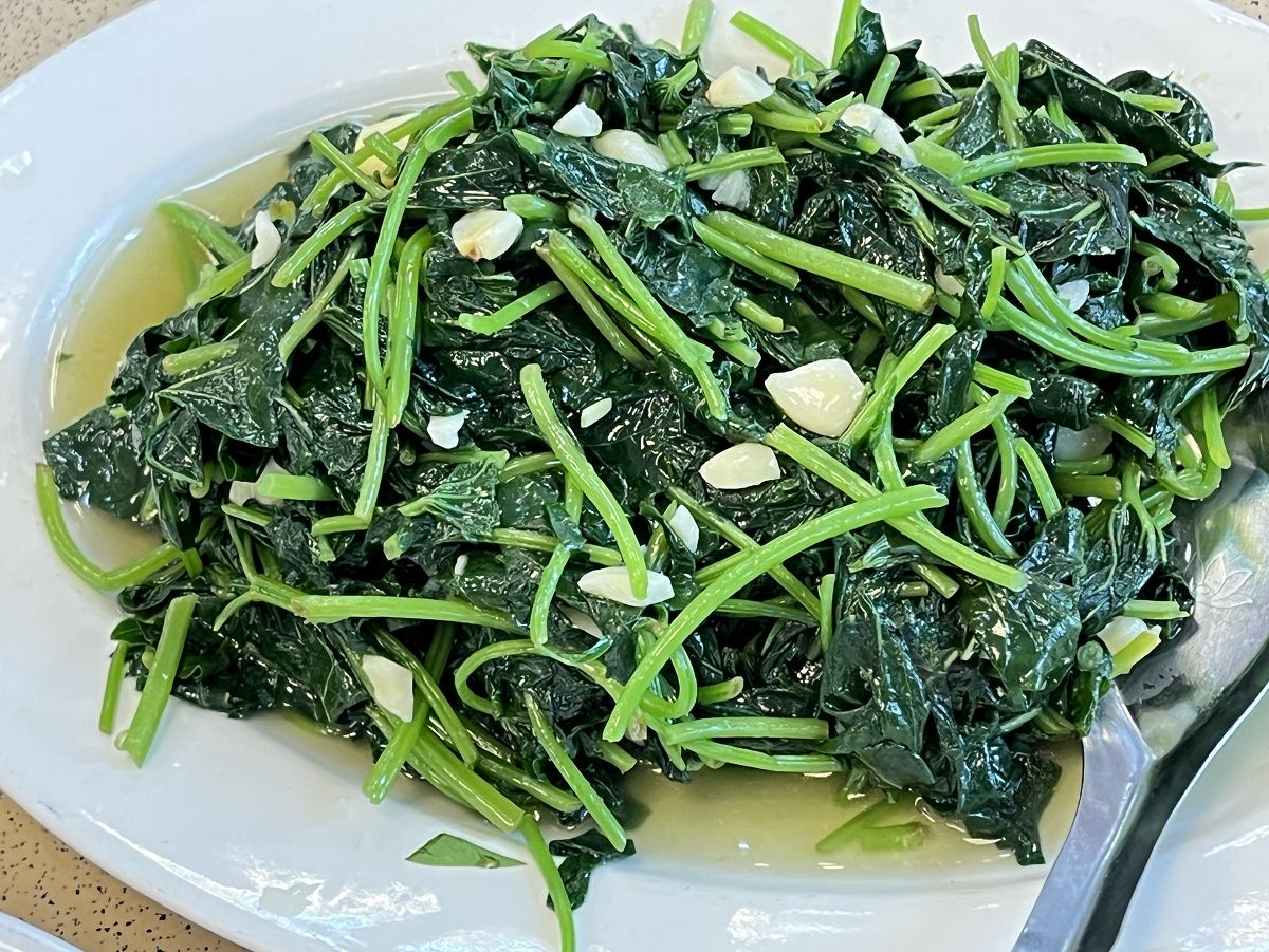 「開心家族」大溪漫遊趣