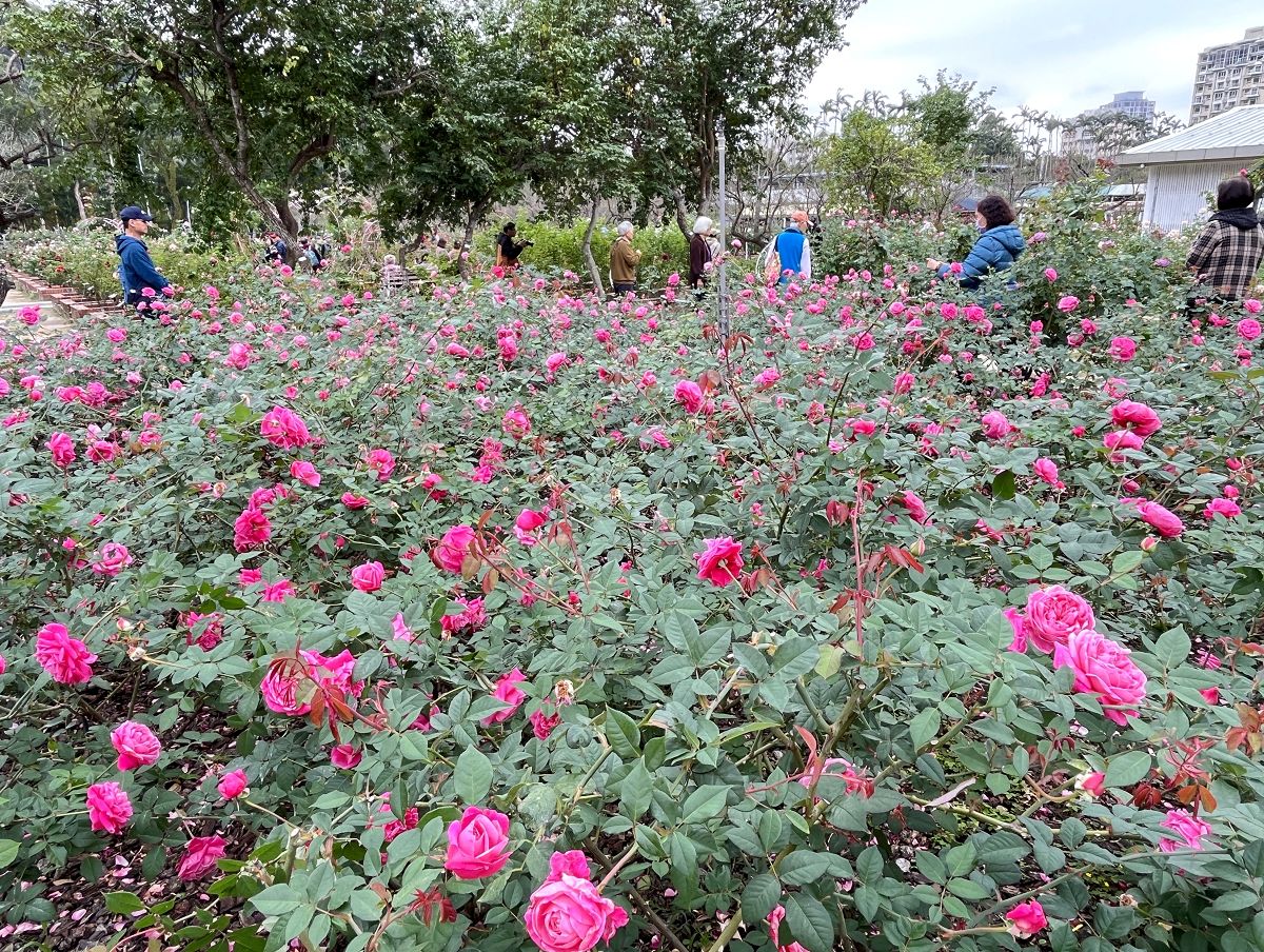 台北輕旅之雅聞與士林官邸賞花篇