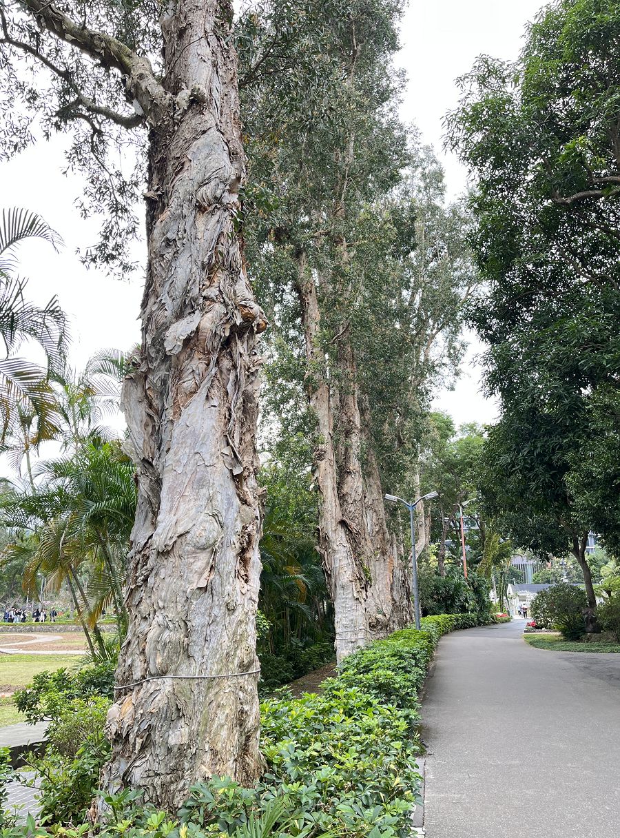 台北輕旅之雅聞與士林官邸賞花篇