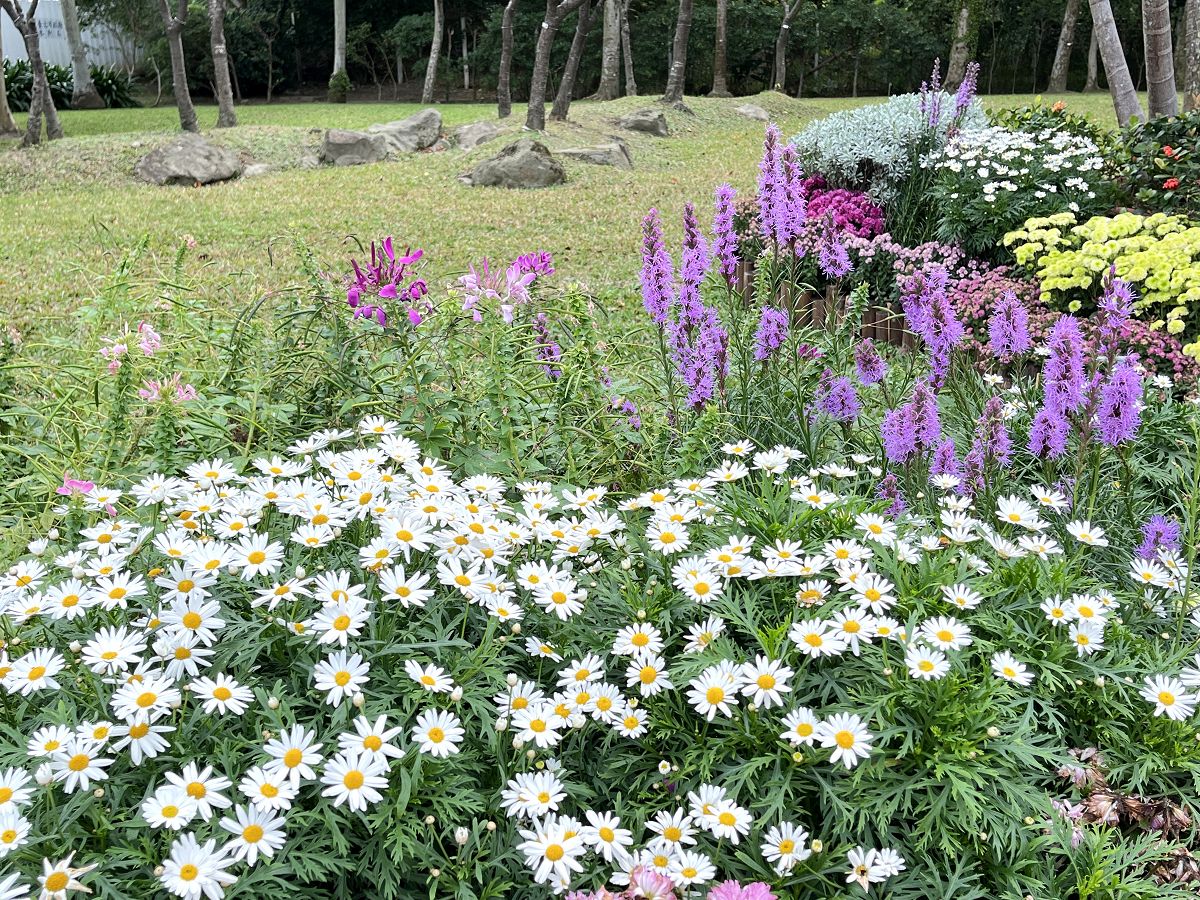 台北輕旅之雅聞與士林官邸賞花篇