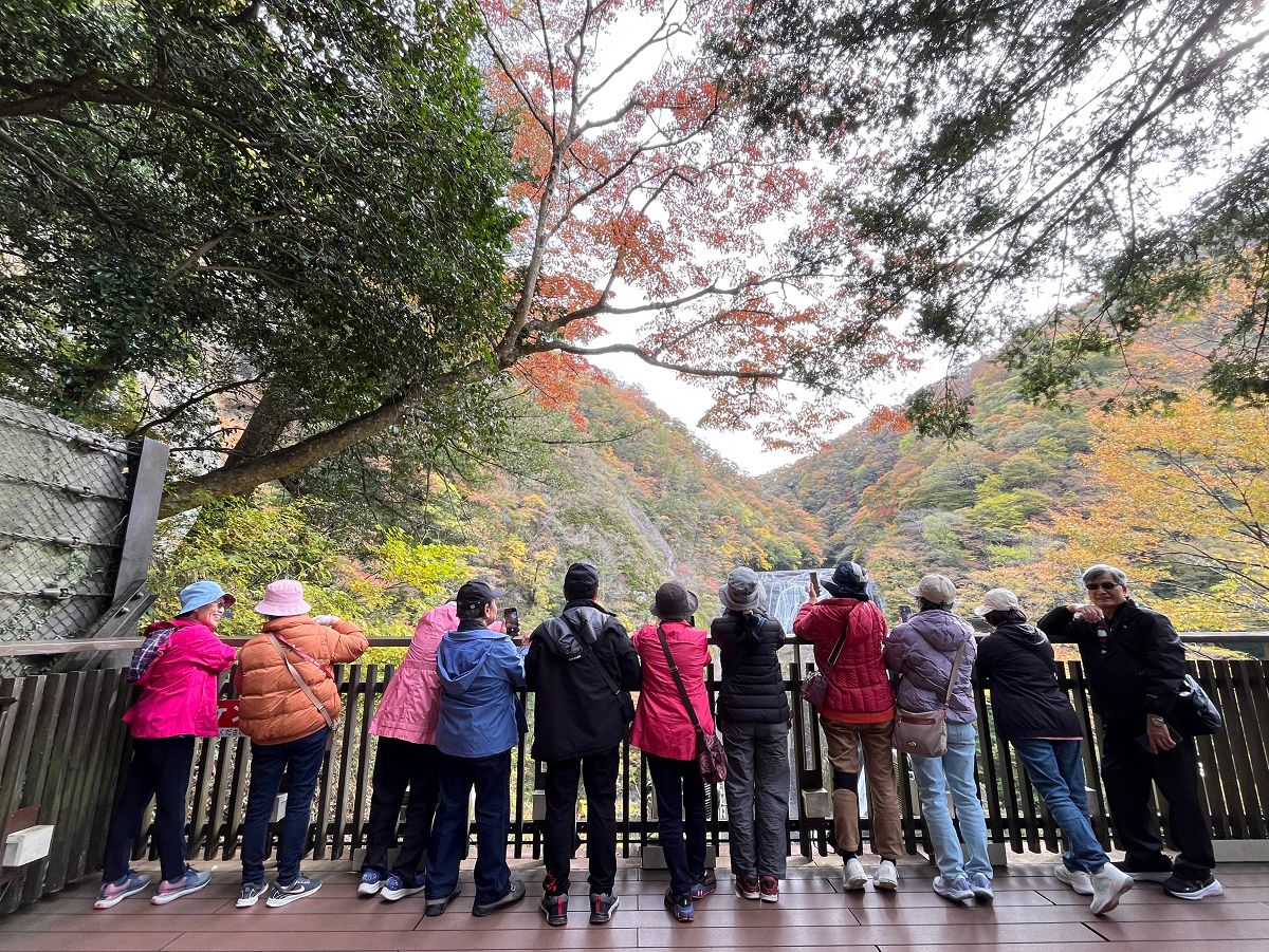 日本追楓趣（8）袋田瀑布