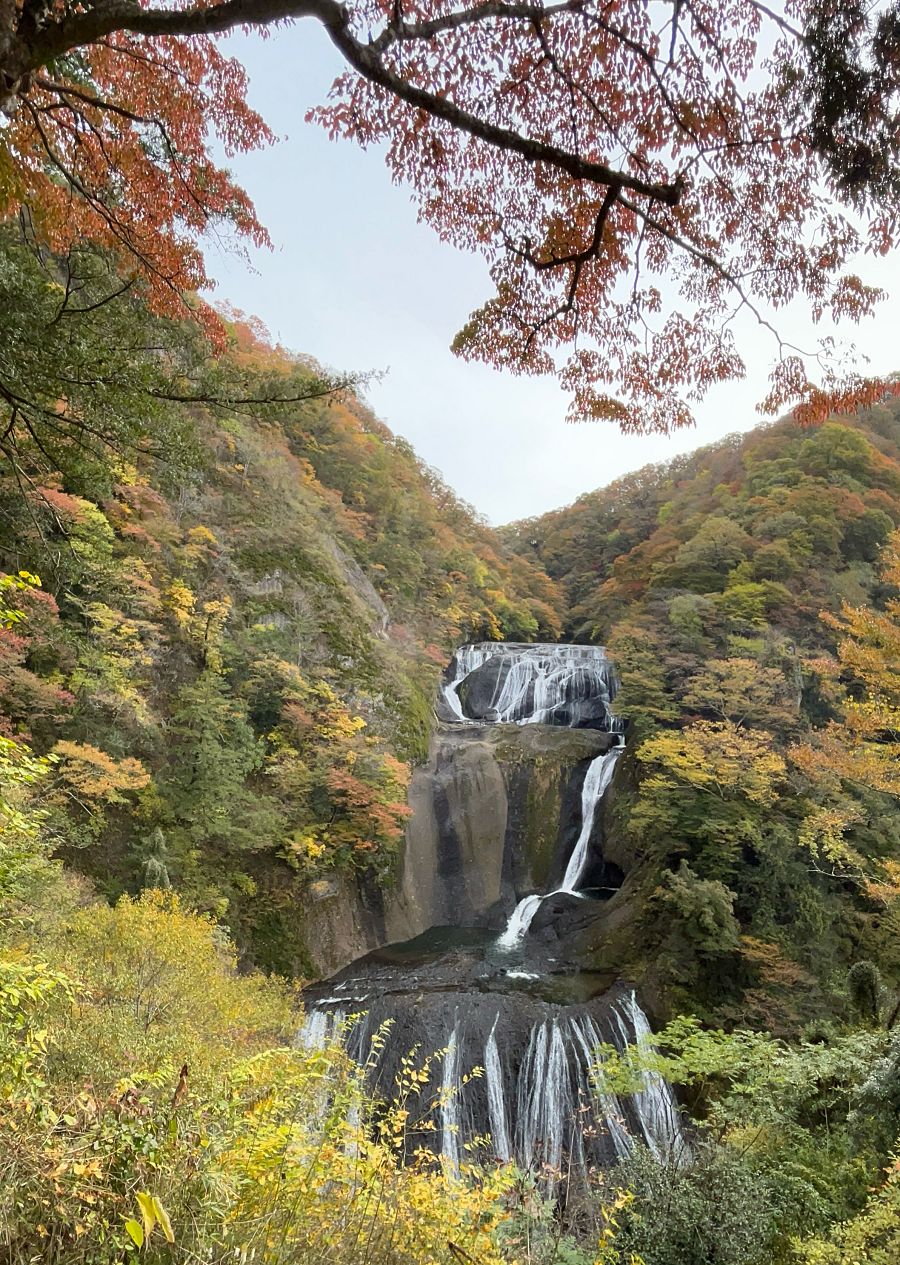 日本追楓趣（8）袋田瀑布