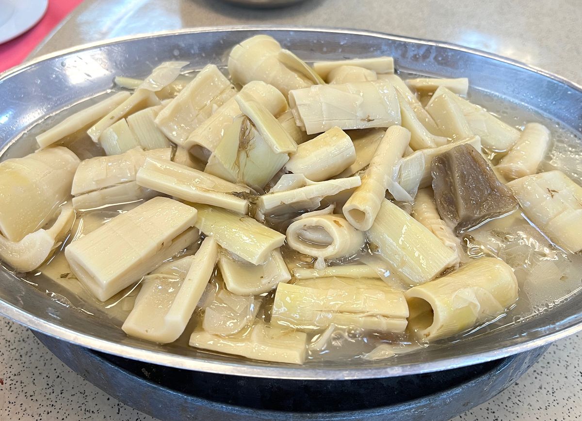 「開心家族」大溪漫遊趣