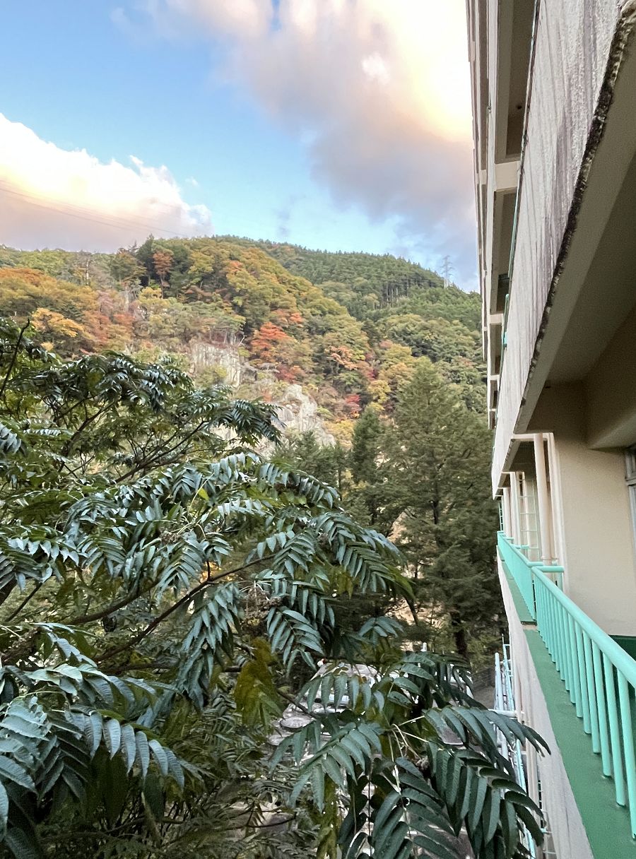 日本追楓趣(19)鬼怒川ROYAL HOTEL - 第29張圖 日本追楓趣(19)鬼怒川ROYAL HOTEL
