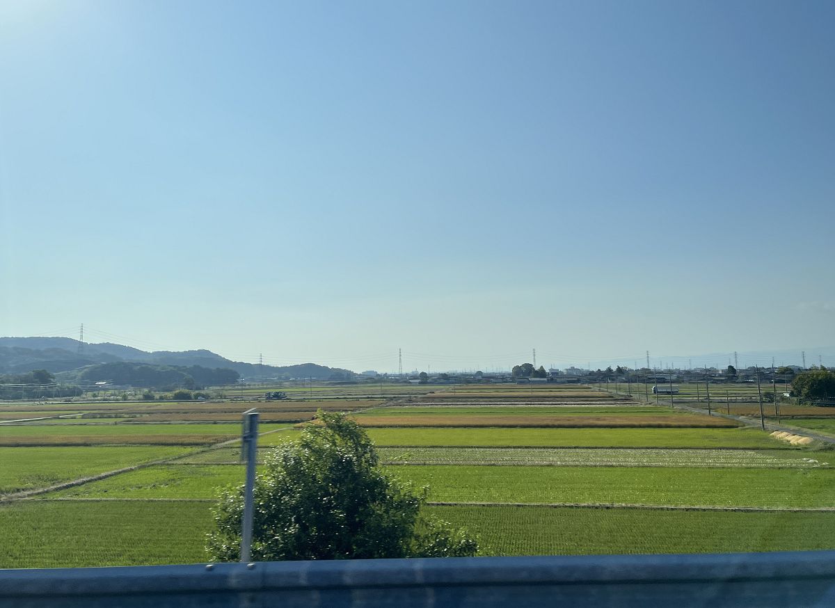 日本追楓趣（20）前往「紅葉之湯」吃午餐