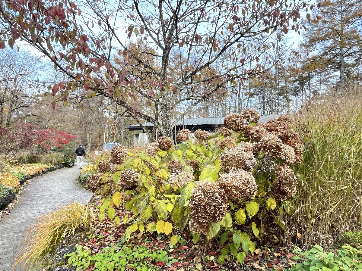 日本追楓趣(24)繪本之森美術館 - 第35張圖 日本追楓趣(24)繪本之森美術館