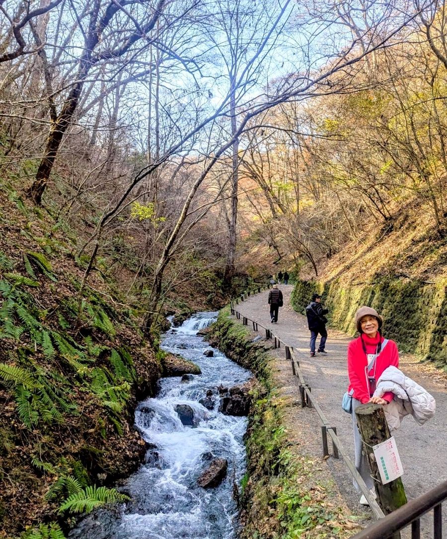日本追楓趣(21)白絲瀑布(白糸の滝) - 第21張圖 日本追楓趣(21)白絲瀑布(白糸の滝)