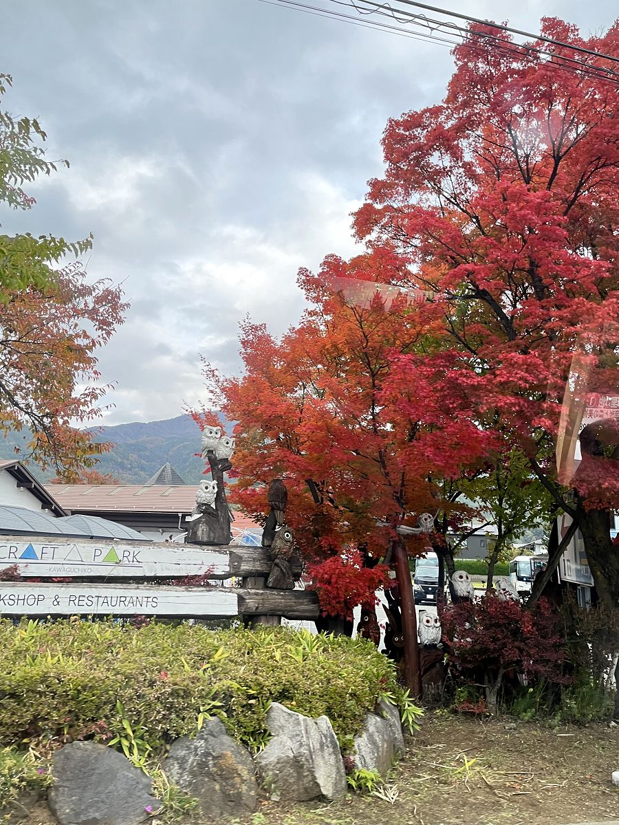 日本追楓趣（30）河口湖之音樂之森美術館