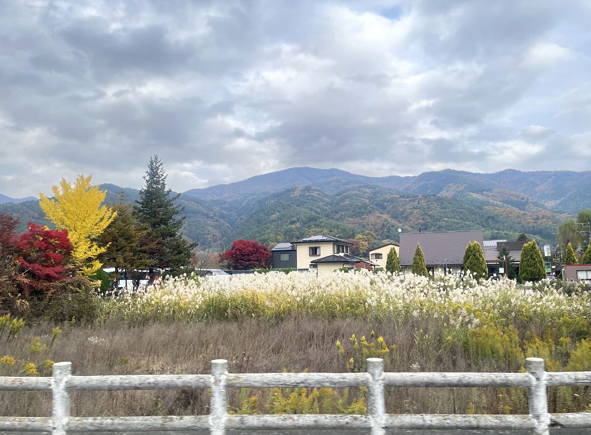 日本追楓趣（30）河口湖之音樂之森美術館