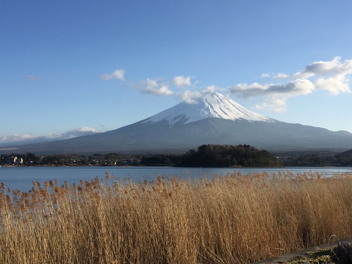 日本追楓趣（29）河口湖之大石公園