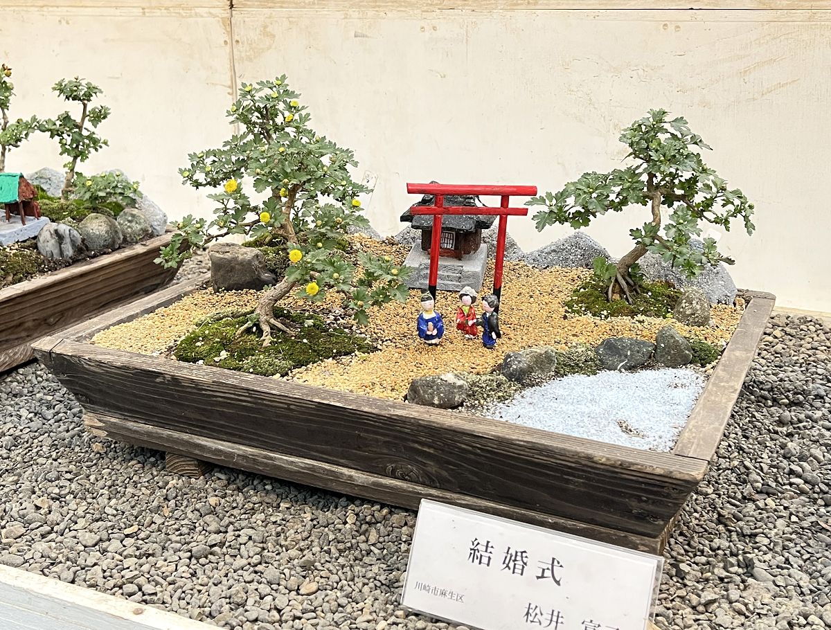 日本追楓趣（33）明治神宮