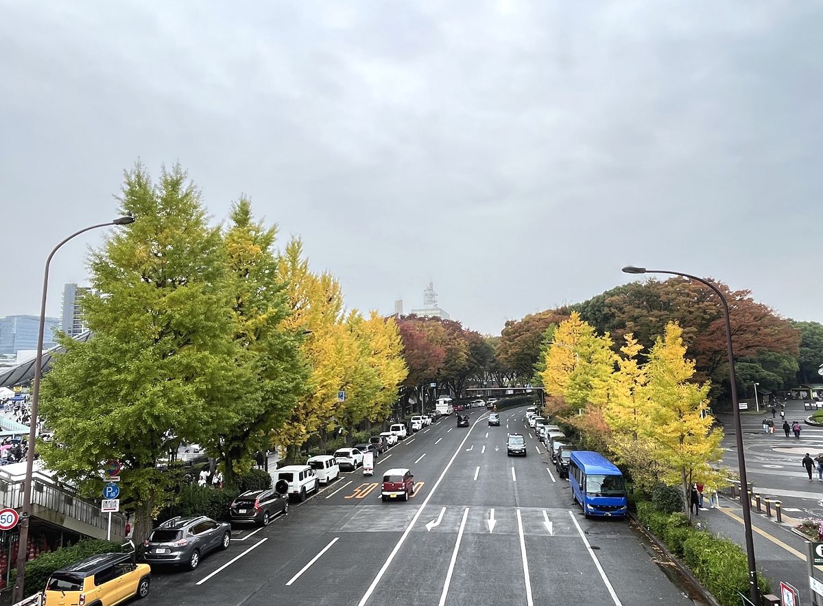 日本追楓趣(34)午餐逛街 / 明治神宮外苑 - 第3張圖 日本追楓趣(34)午餐逛街 / 明治神宮外苑