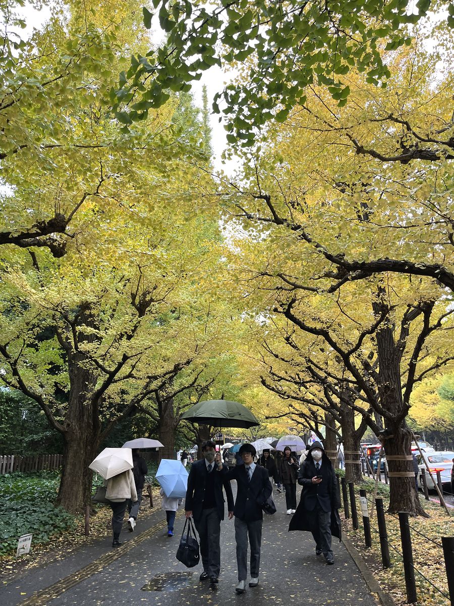 日本追楓趣(34)午餐逛街 / 明治神宮外苑 - 第14張圖 日本追楓趣(34)午餐逛街 / 明治神宮外苑