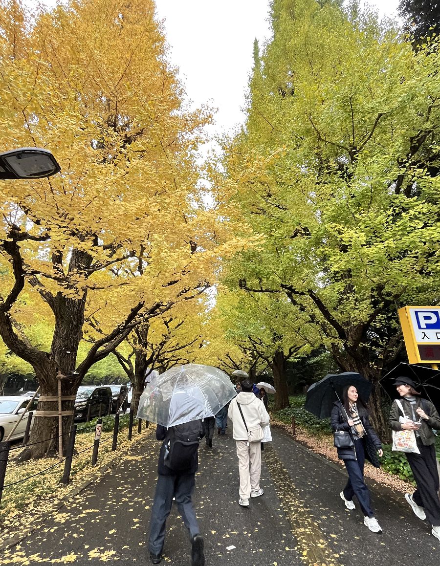 日本追楓趣(34)午餐逛街 / 明治神宮外苑 - 第13張圖 日本追楓趣(34)午餐逛街 / 明治神宮外苑