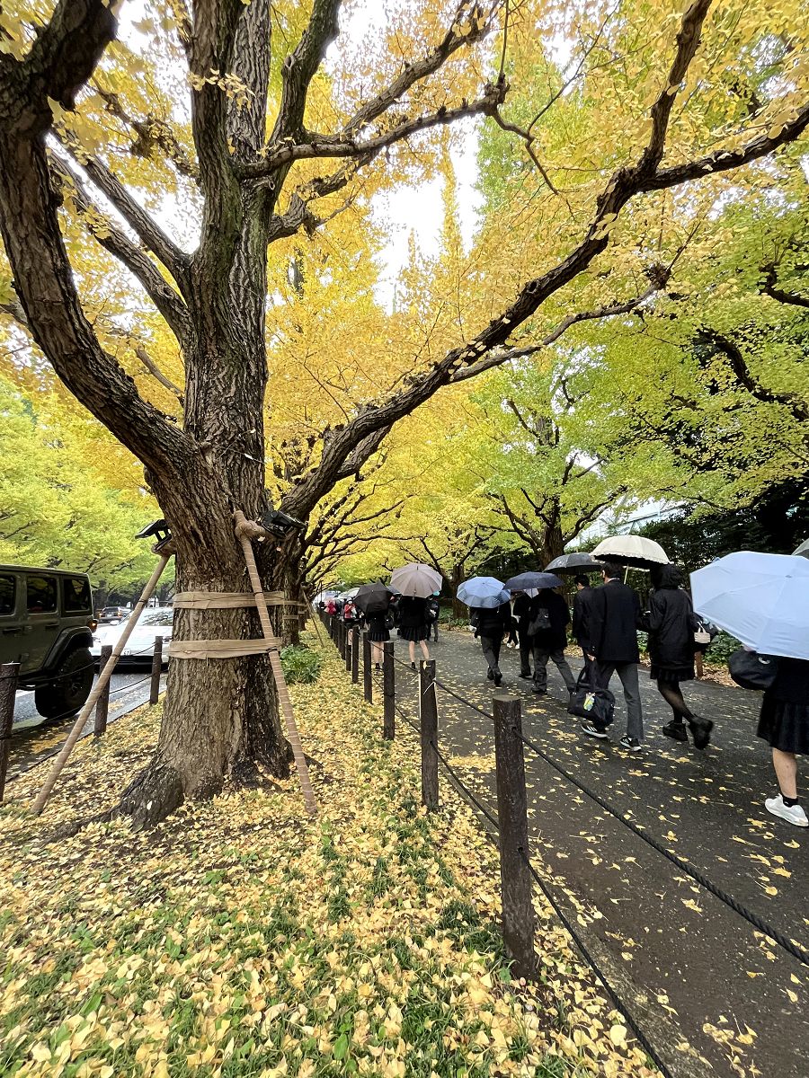 日本追楓趣(34)午餐逛街 / 明治神宮外苑 - 第19張圖 日本追楓趣(34)午餐逛街 / 明治神宮外苑
