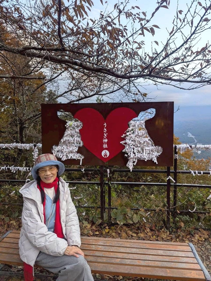 日本追楓趣(31)河口湖之搭乘纜車上天上山公園 - 第17張圖 日本追楓趣(31)河口湖之搭乘纜車上天上山公園