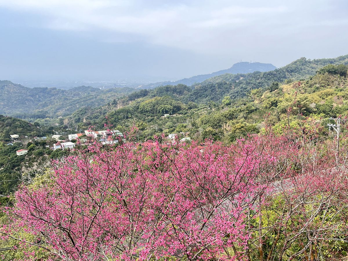 兒女親家相聚歡(一) - 第28張圖 兒女親家相聚歡(一)