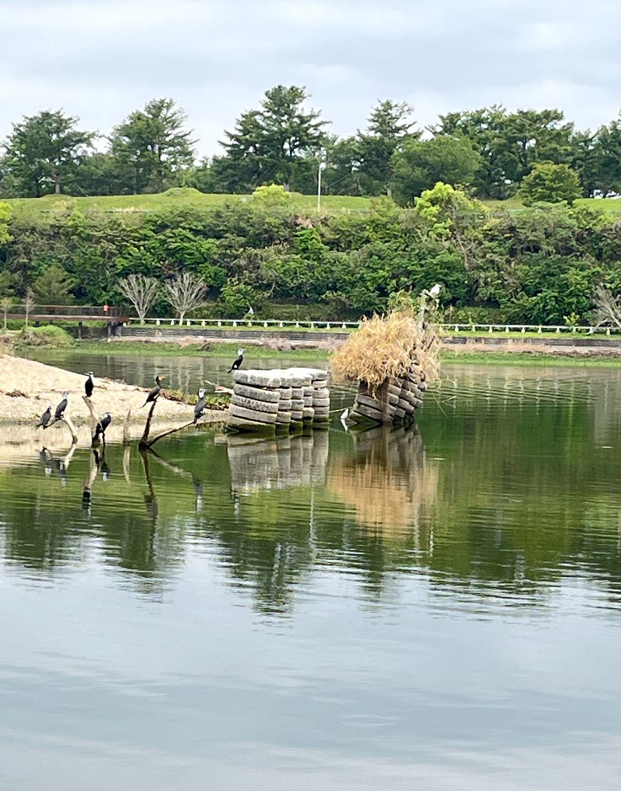 中山氣功班春遊峨眉湖