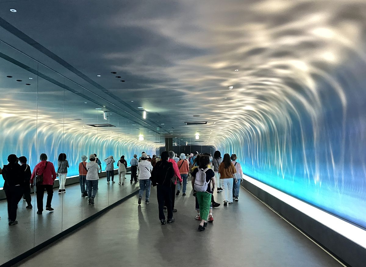 台中海洋館 / 麗寶Outlet Mall - 第6張圖 台中海洋館 / 麗寶Outlet Mall
