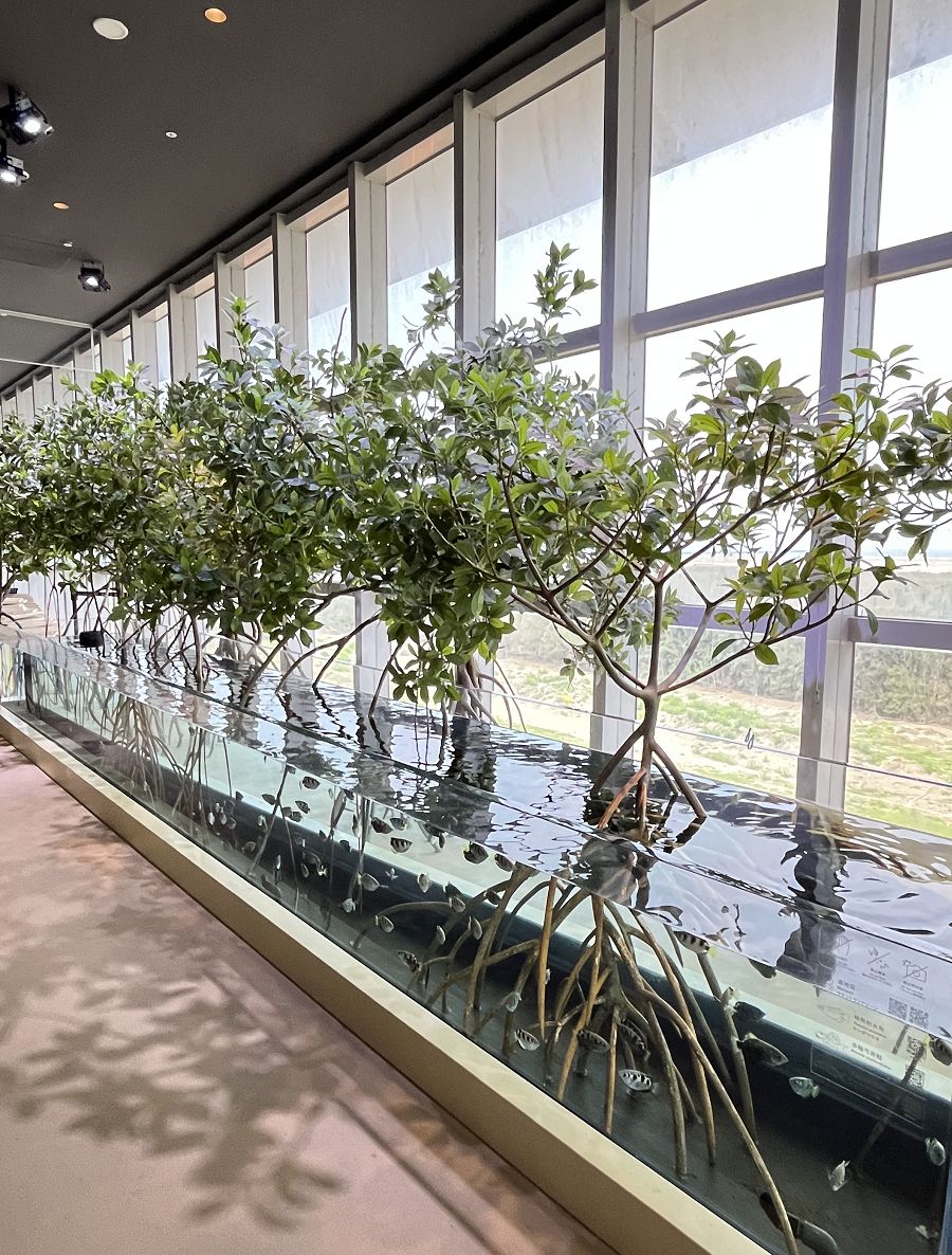台中海洋館 / 麗寶Outlet Mall - 第18張圖 台中海洋館 / 麗寶Outlet Mall