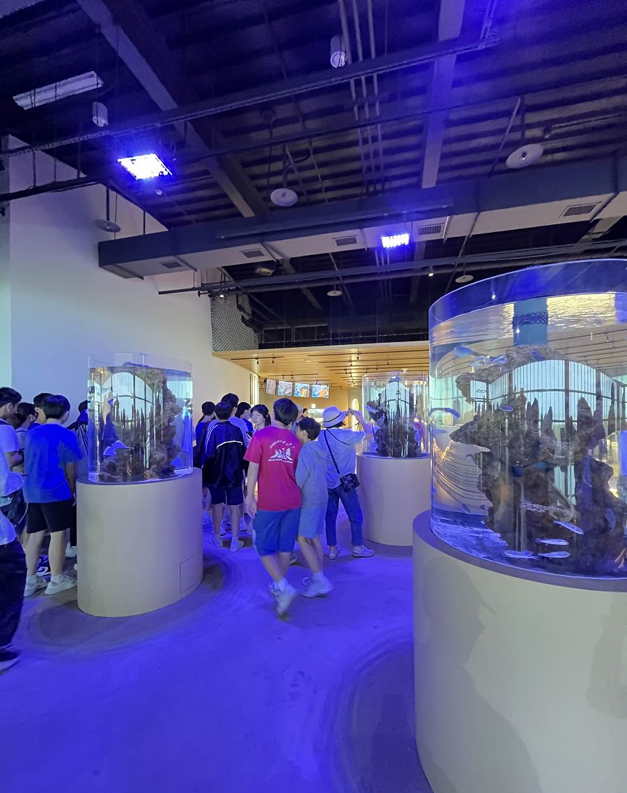 台中海洋館 / 麗寶Outlet Mall - 第22張圖 台中海洋館 / 麗寶Outlet Mall