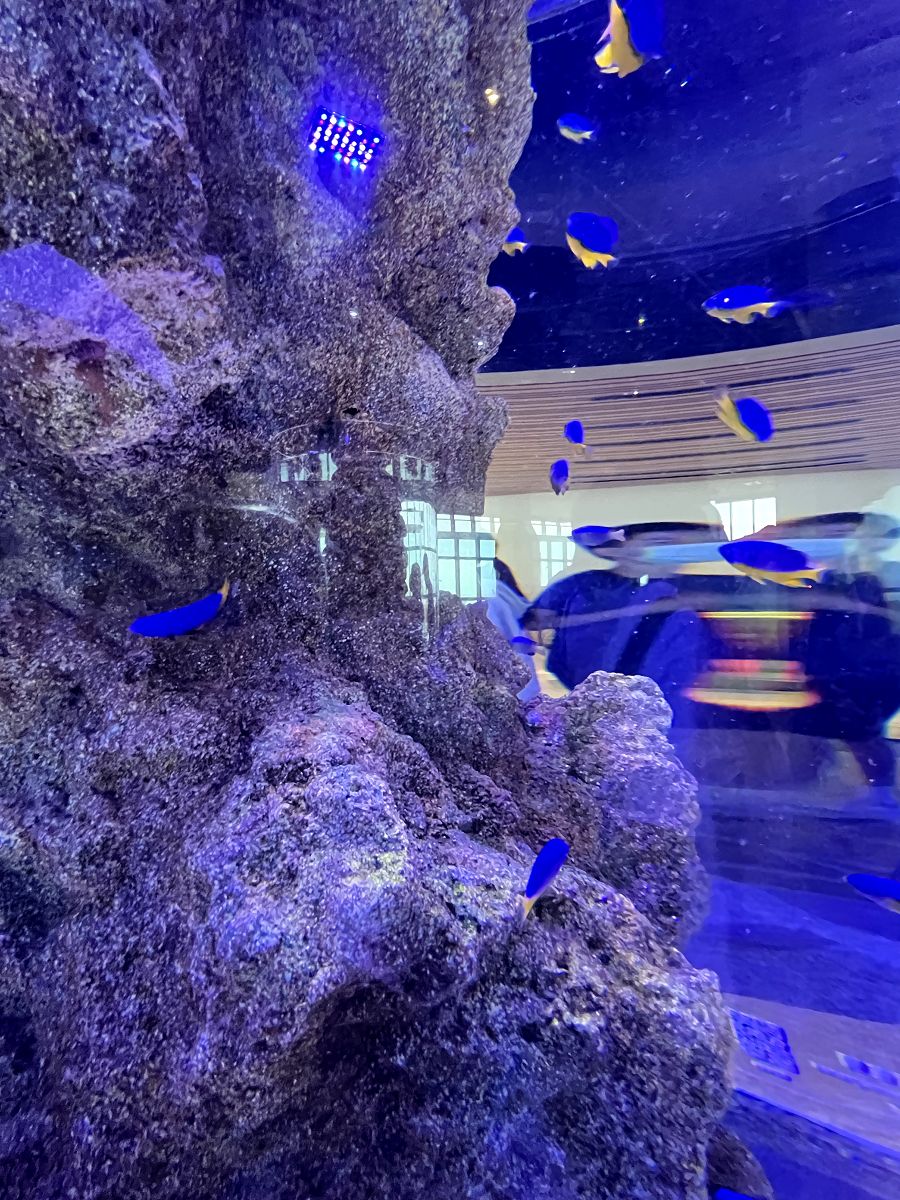 台中海洋館 / 麗寶Outlet Mall - 第23張圖 台中海洋館 / 麗寶Outlet Mall