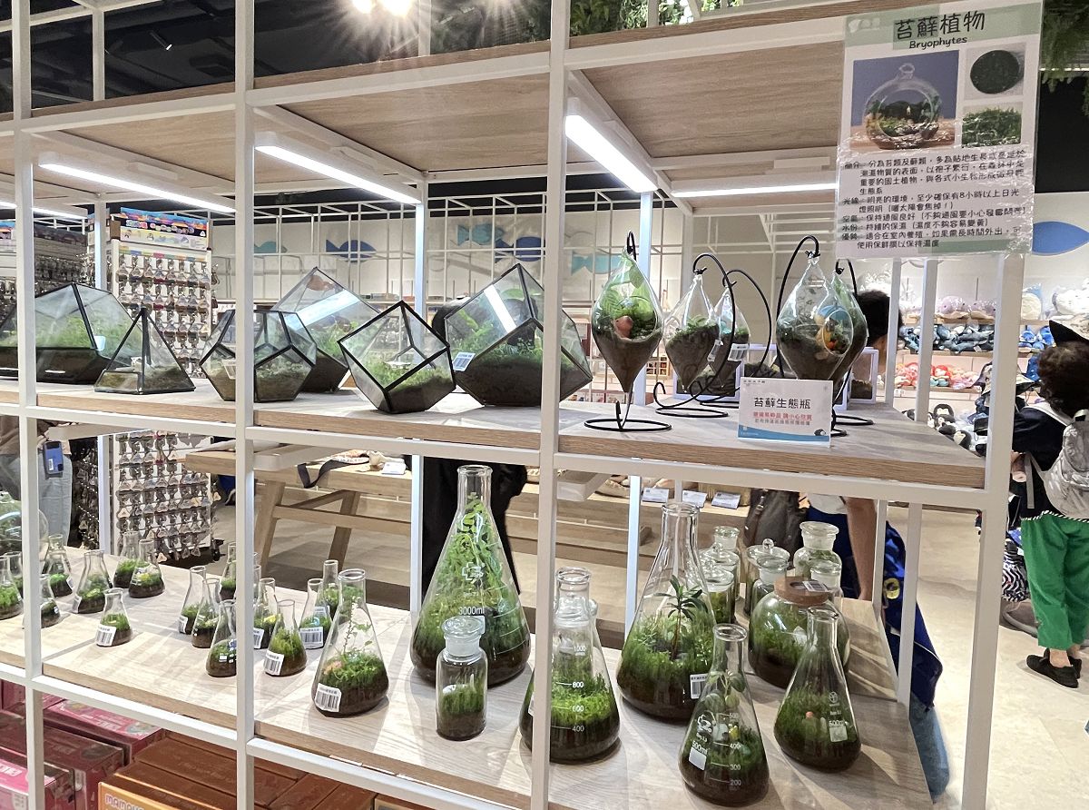 台中海洋館 / 麗寶Outlet Mall