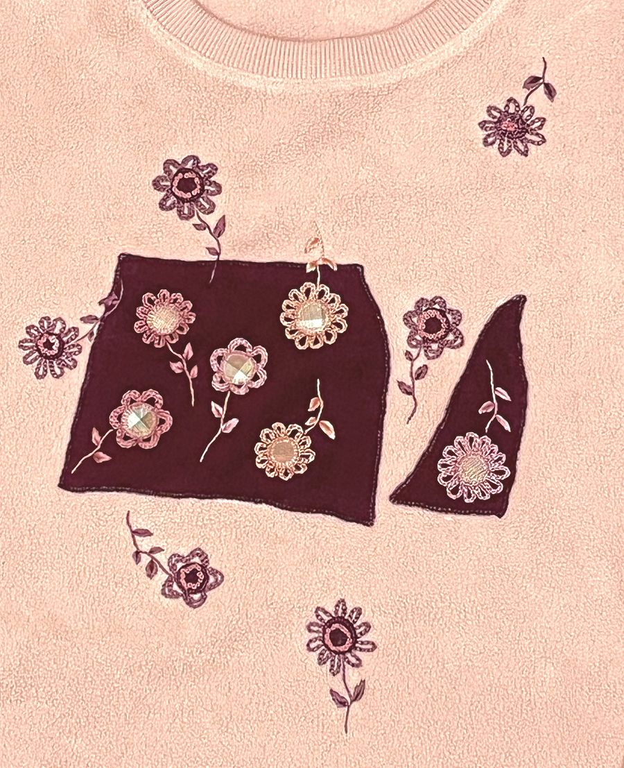 玩刺繡（二十六）