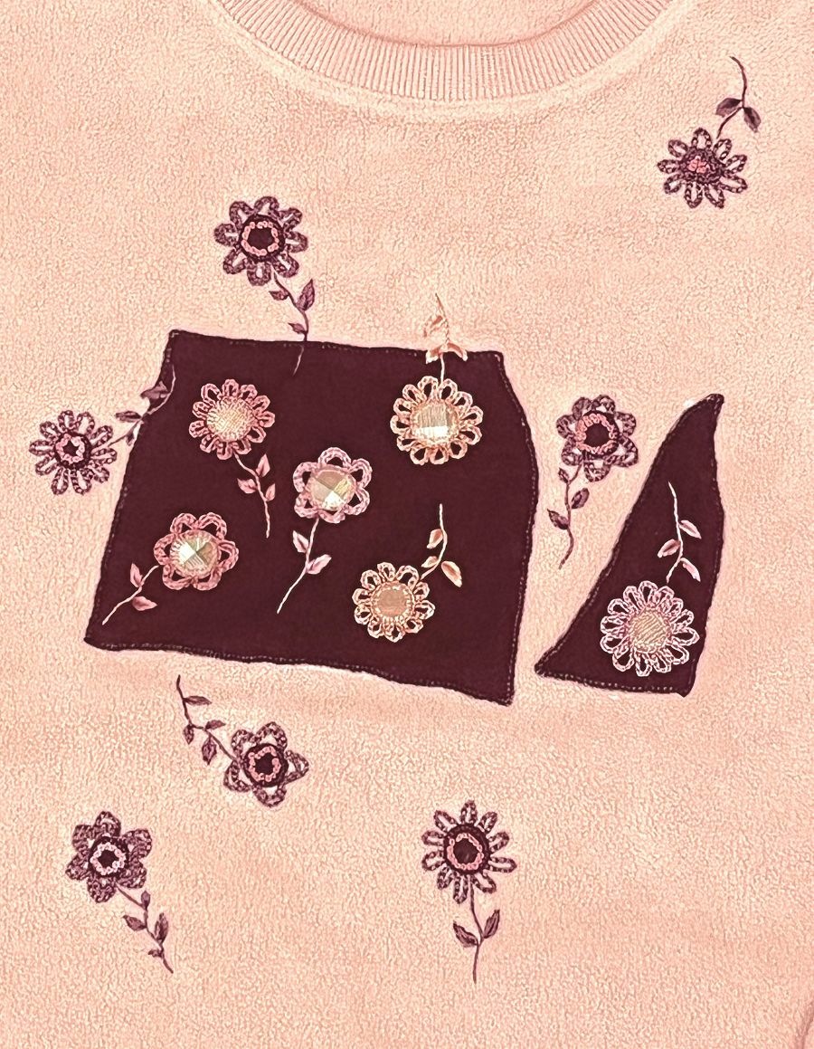 玩刺繡（二十六）