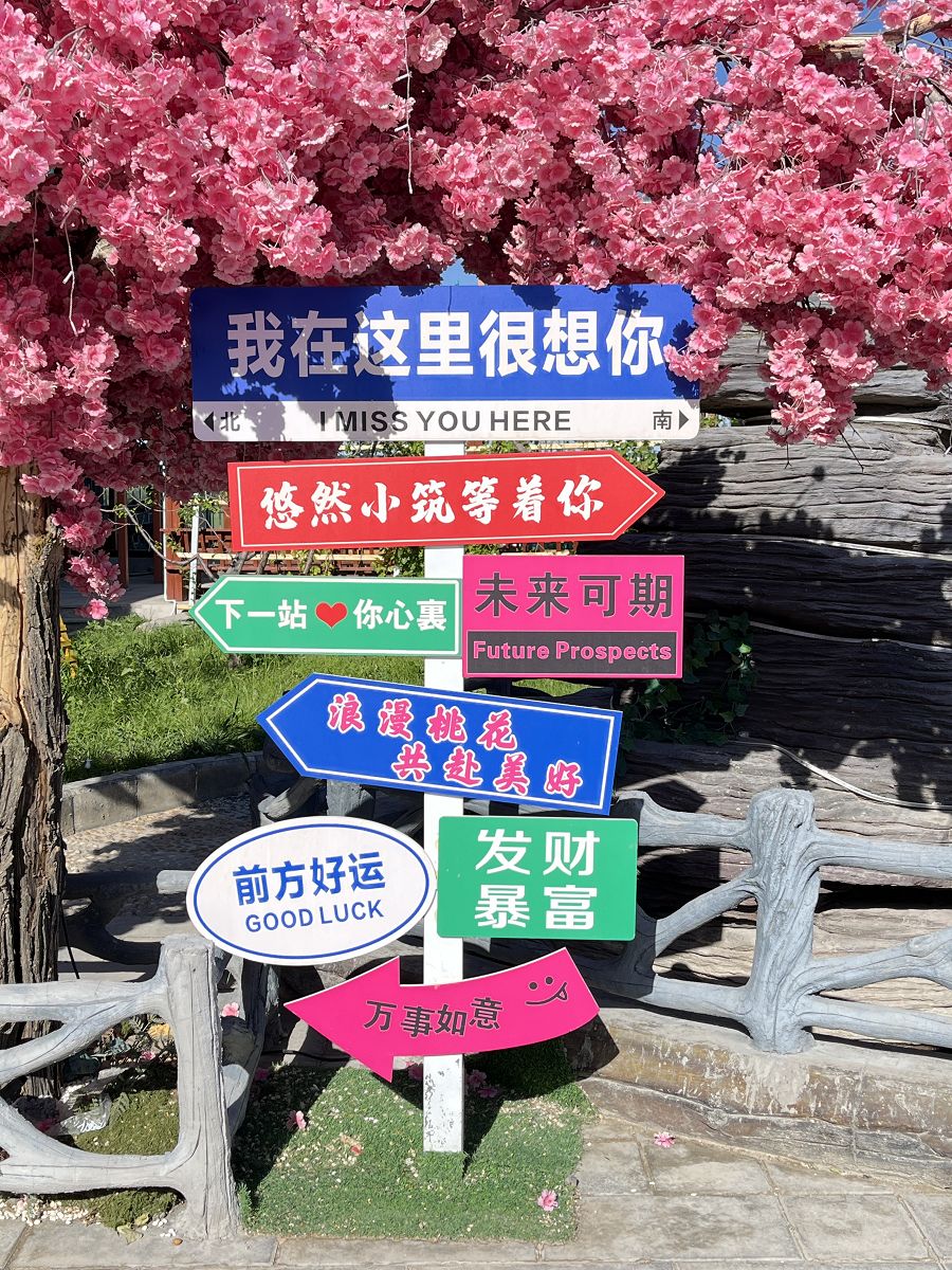 北疆圓夢去（10）「悠然小築」品嘗農家菜