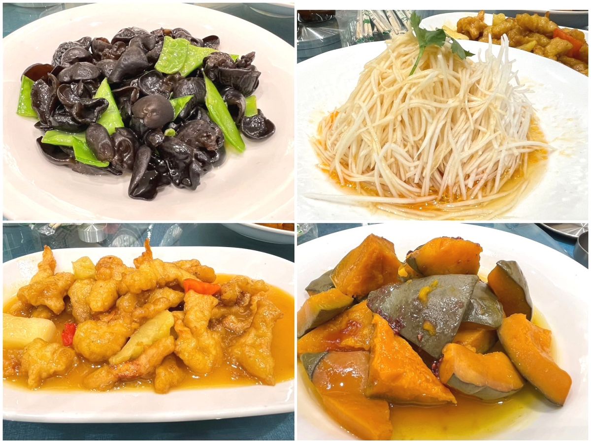 北疆圓夢去（3）行程簡述（二）