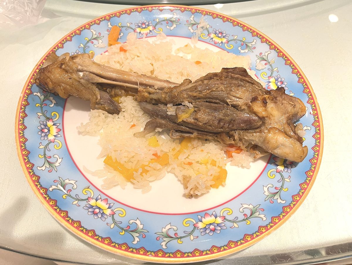 北疆圓夢去（5）行程簡述（四）