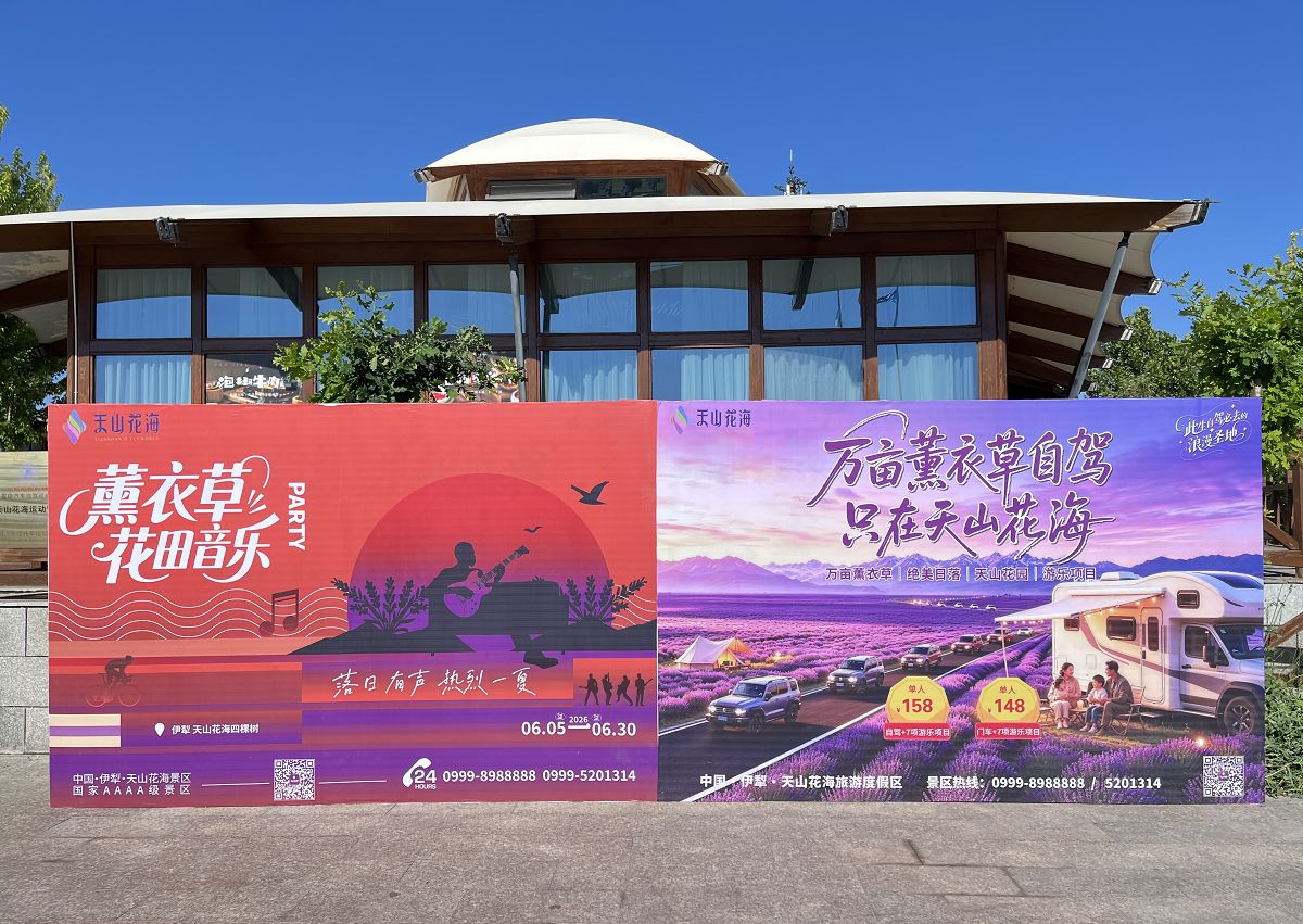 北疆圓夢去（22）天山花海