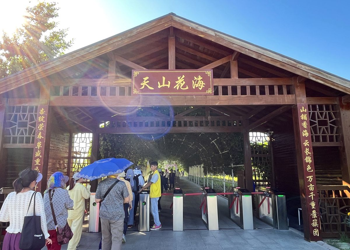 北疆圓夢去（22）天山花海