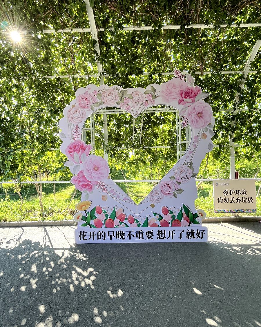 北疆圓夢去（22）天山花海