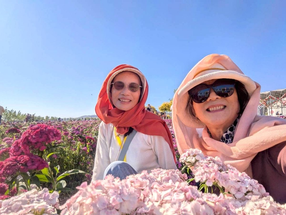 北疆圓夢去（22）天山花海