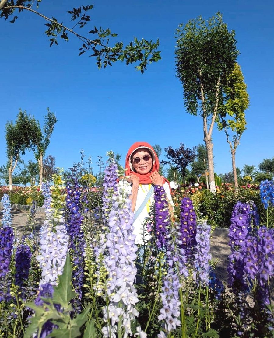 北疆圓夢去（22）天山花海