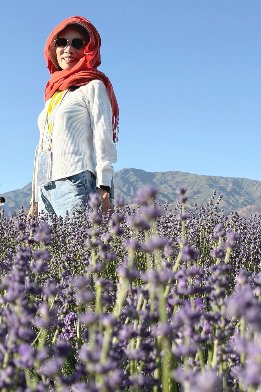 北疆圓夢去（22）天山花海